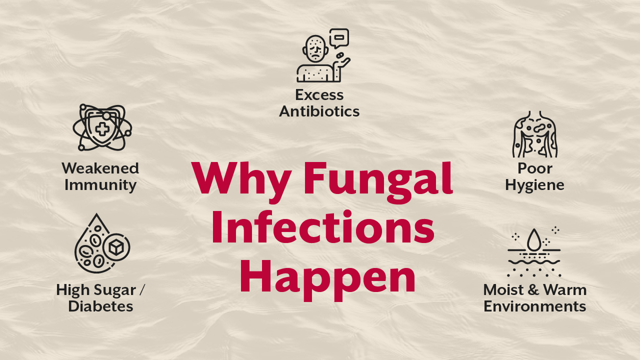 Why Fungal Infections Happen
