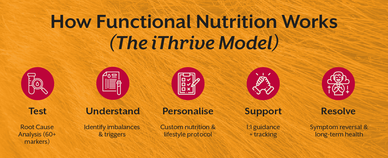 How Functional Nutrition Works (The iThrive Model)
