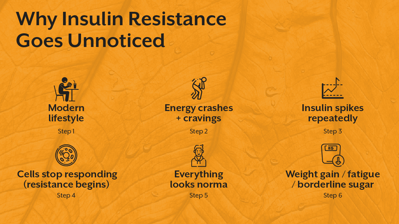 Why Insulin Resistance Goes Unnoticed