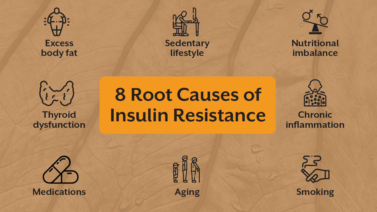 8 Root Causes of Insulin Resistance