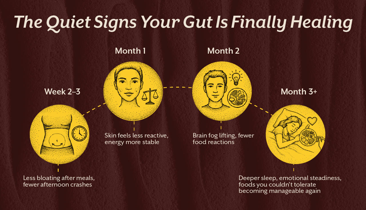 The Quiet Signs Your Gut Is Finally Healing