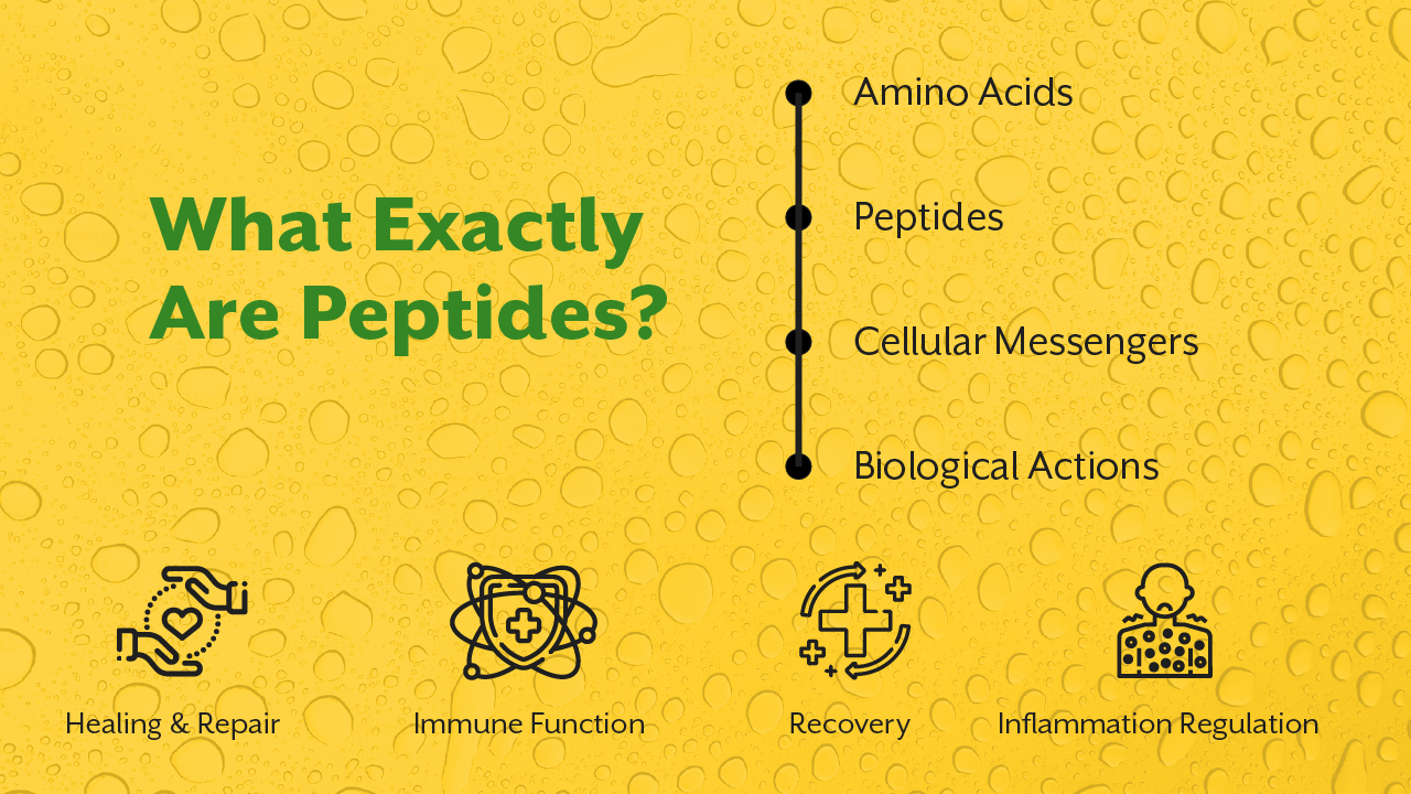 What Exactly Are Peptides?