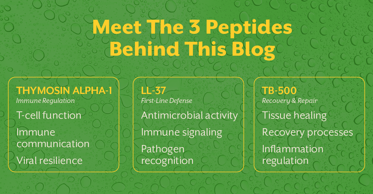 Meet The 3 Peptides Behind This Blog