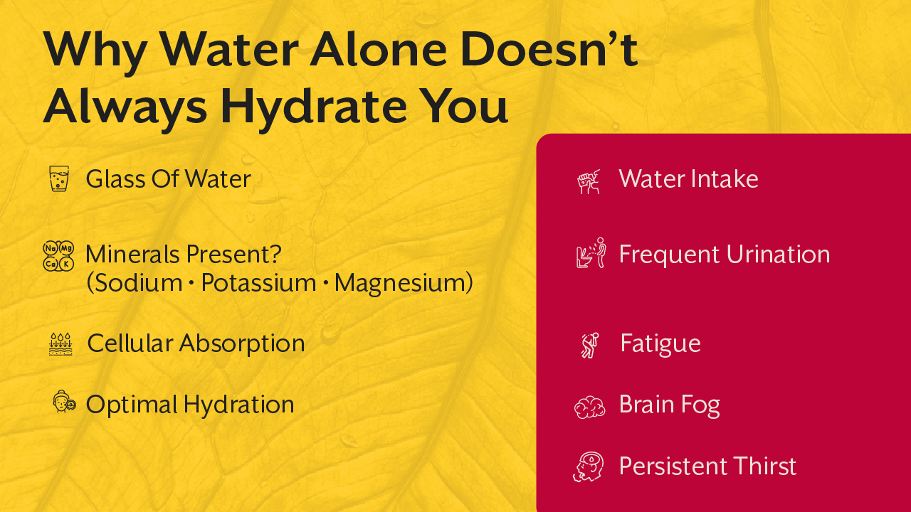 Why Water Alone Doesn’t Always Hydrate You