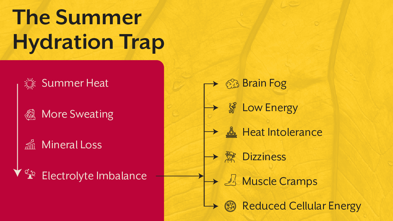 The Summer Hydration Trap