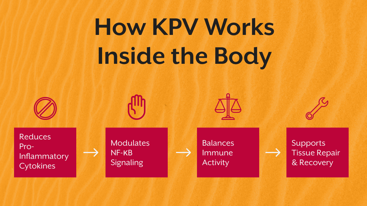 How KPV Works Inside The Body
