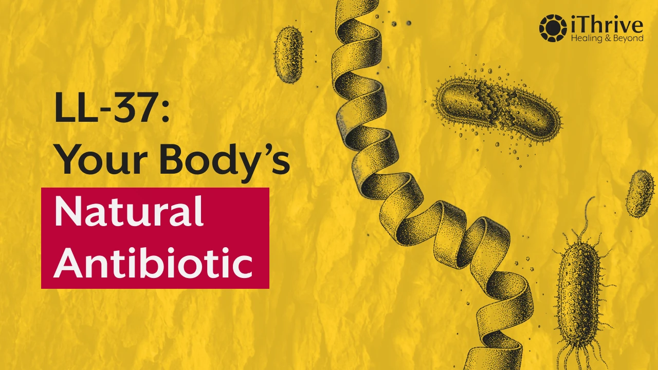 LL-37: Your Body’s Built-In Antibiotic | How This Antimicrobial Peptide Fights Bacteria, Biofilms & Chronic Infections