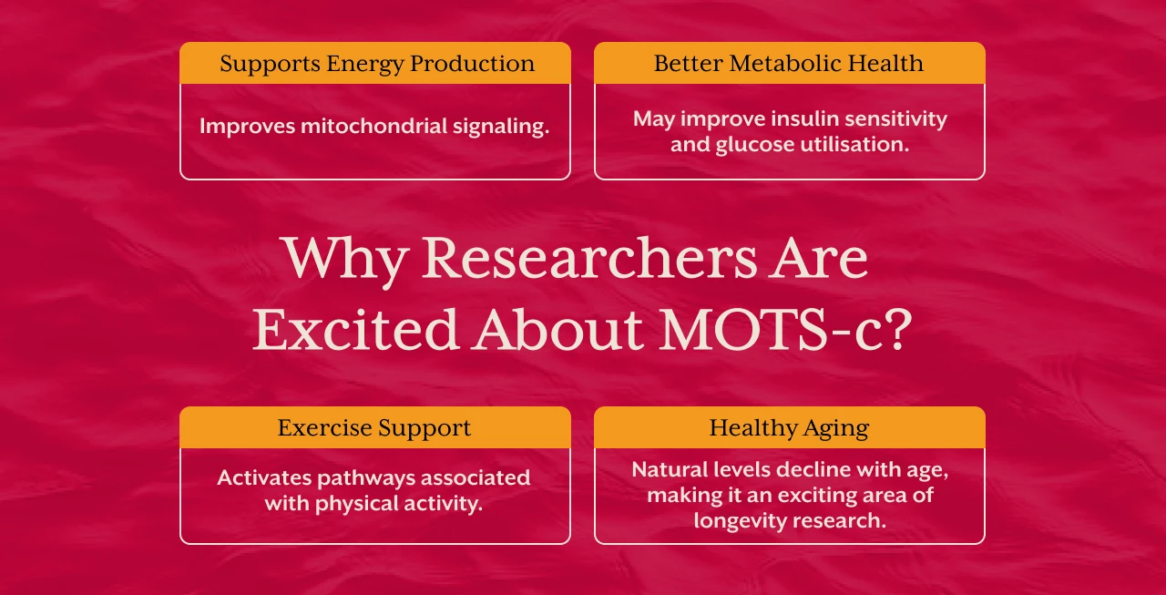 Why Researchers Are Excited About MOTS c