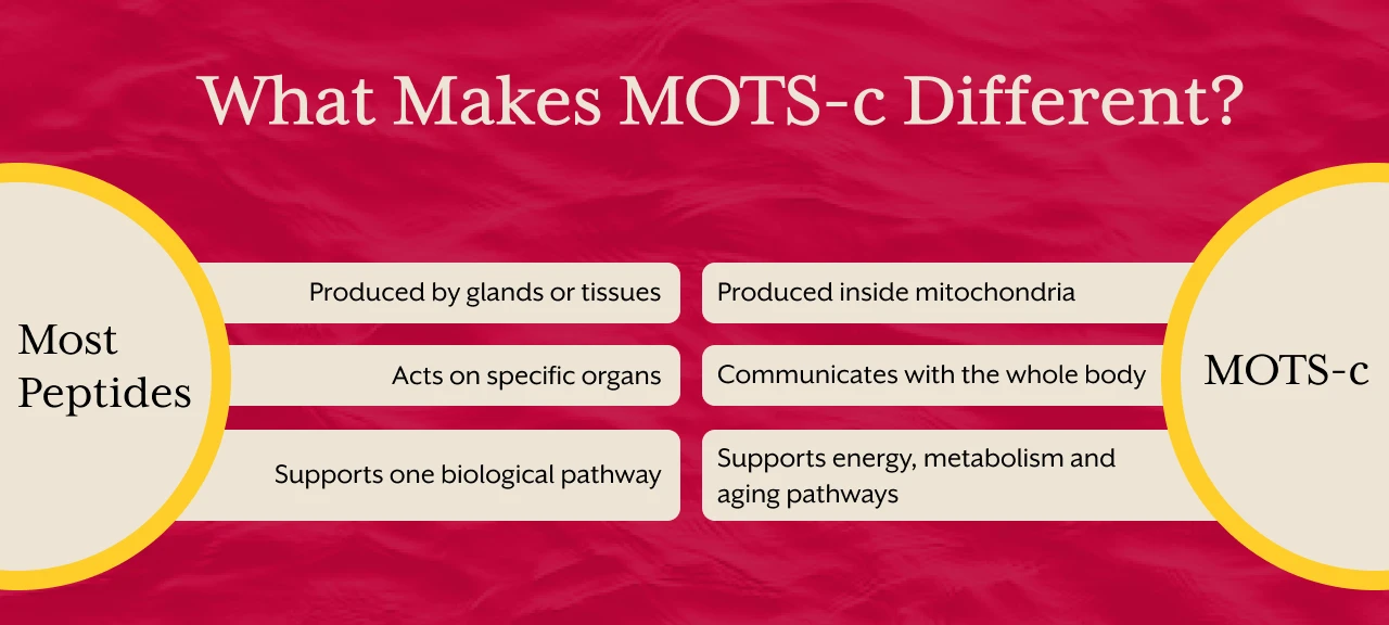 What Makes MOTS c Different?