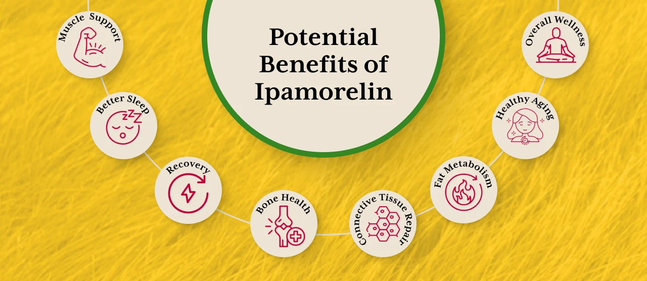 Potential Benefits of Ipamorelin