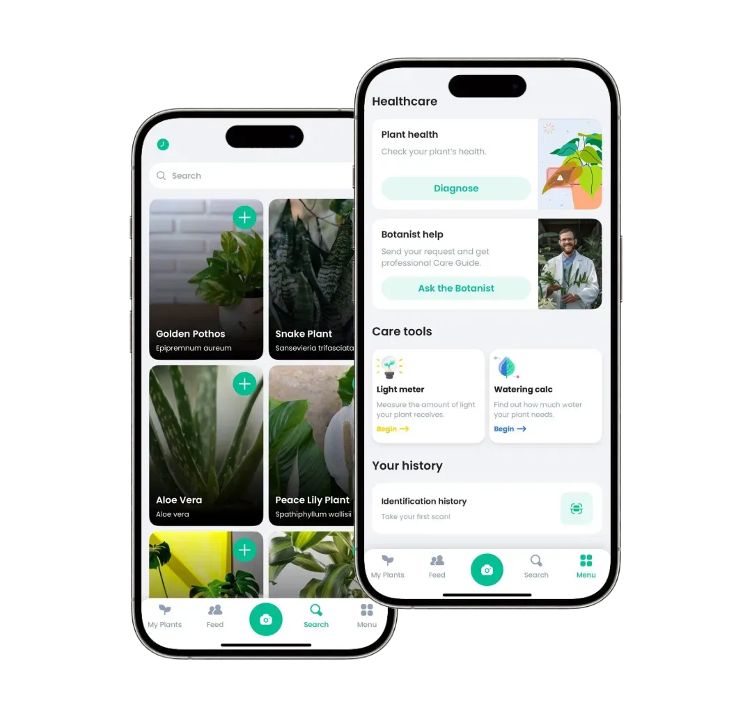 Case study: plant identifier app by EverHelp