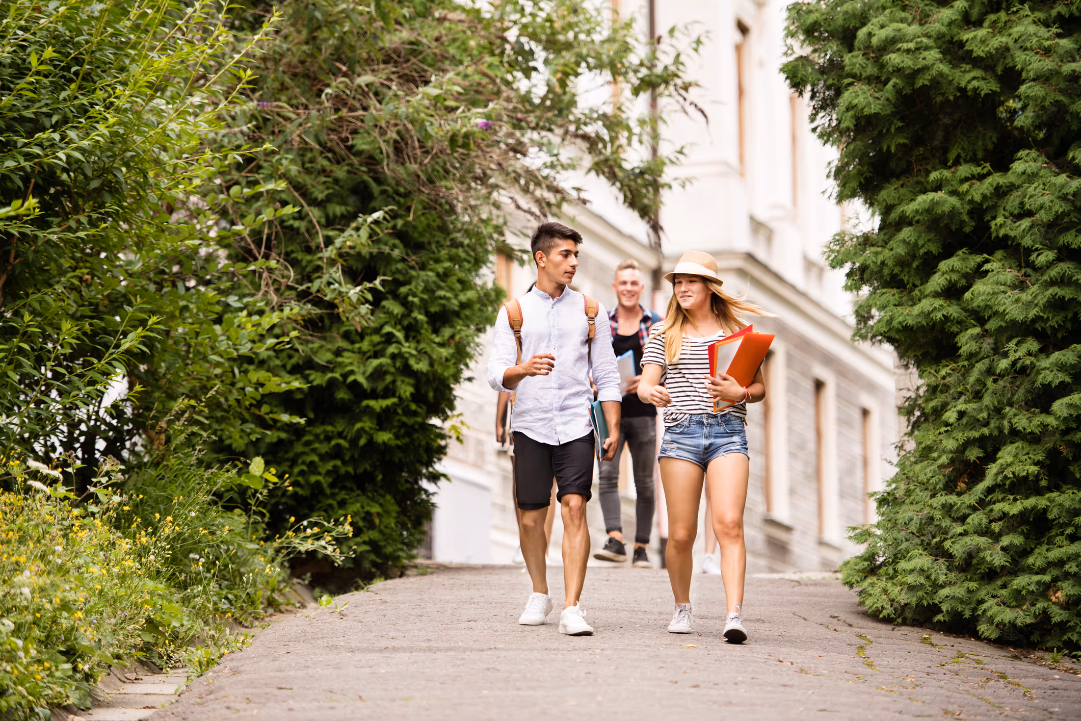 How Halda's Website Coverage Maximization Reshapes the Student Journey