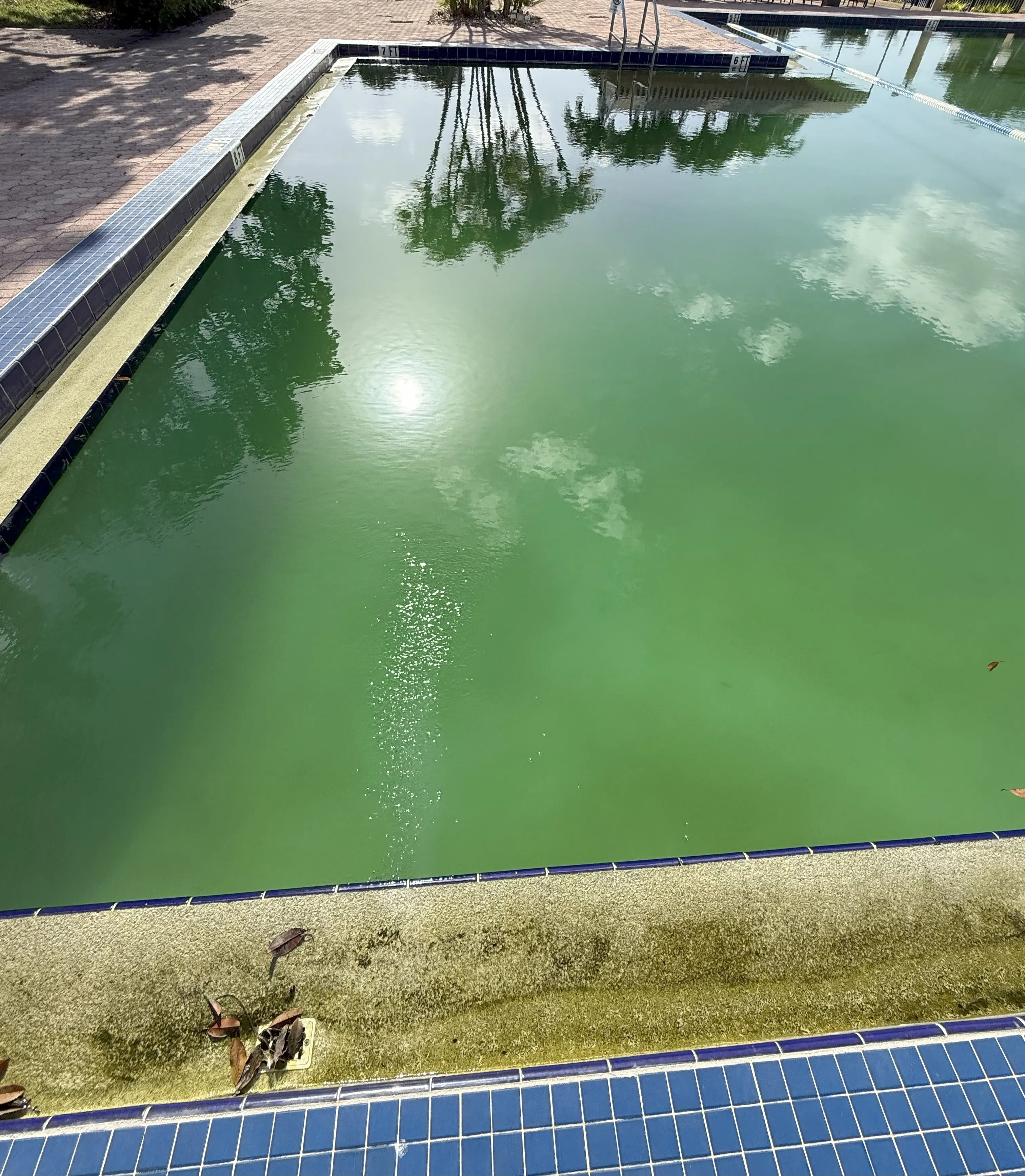 pool
