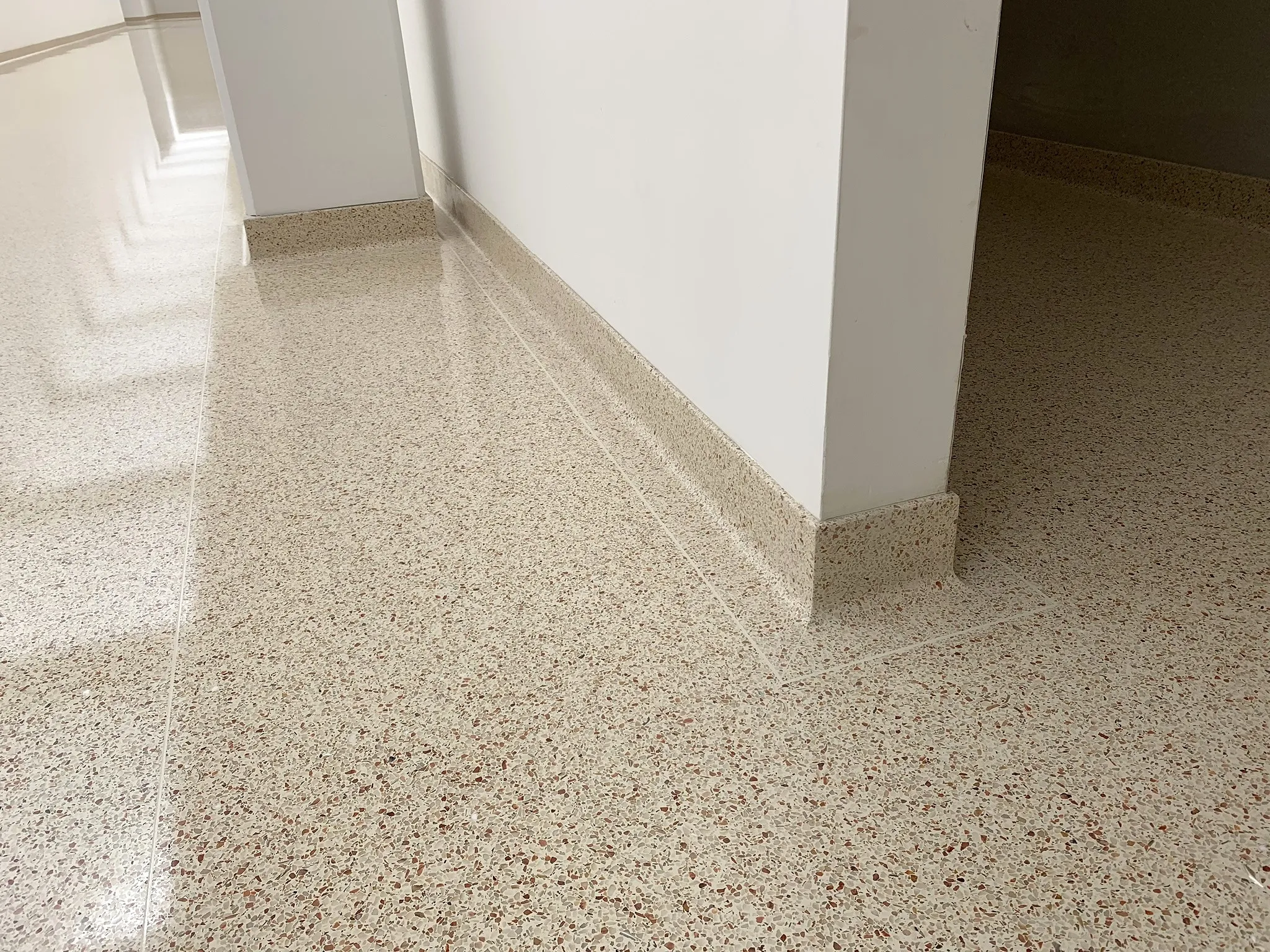 pavimentos contínuos em terrazzo e aplicação de rodapés em laboratório médico. / continuous terrazzo flooring and footer application in a medical laboratory.
