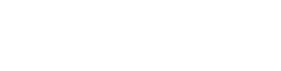 Sentinel Global logo