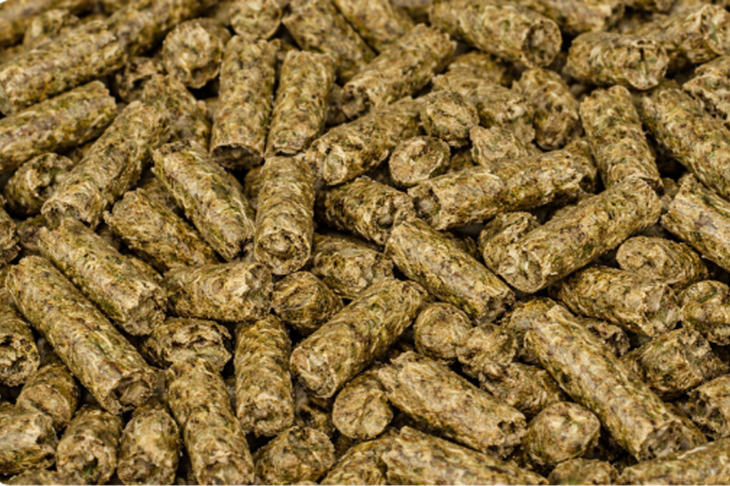 Close-up photo of hemp pellets
