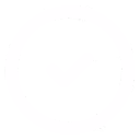 Data Protection Icon