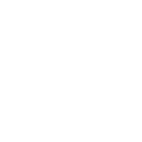 Data Protection Icon