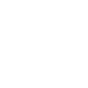 Data Protection Icon