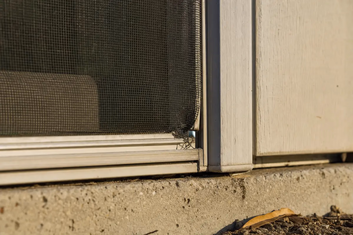 Close-up of a torn window screen corner with a visible gap letting daylight through.