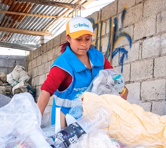 Redeemable Tax on PET Plastic Bottles (IRBP) in Ecuador: a crucial boost for Grassroots Recyclers