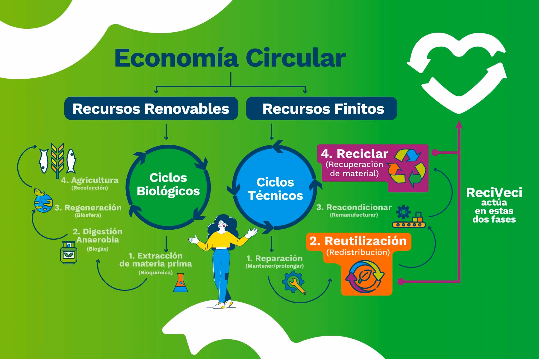 What's the difference between recycling and reusing? Circular Economy and the 3Rs 