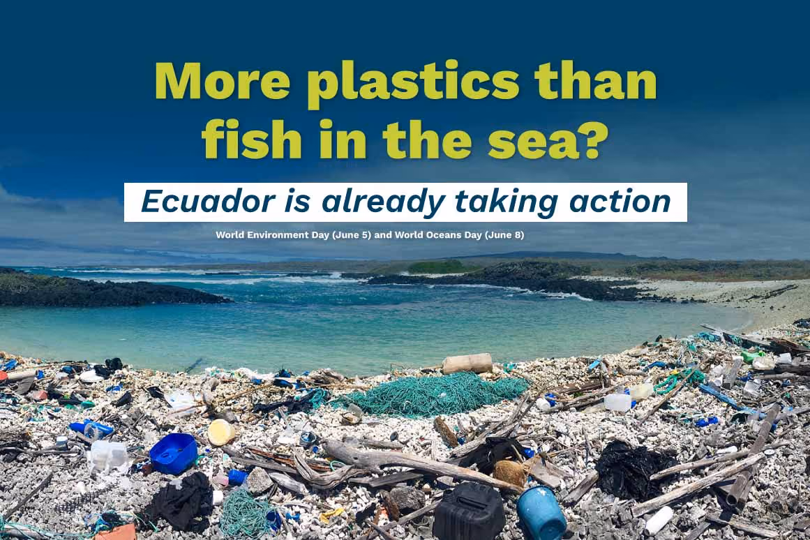 "More plastic than fish in the sea? Ecuador is already taking action