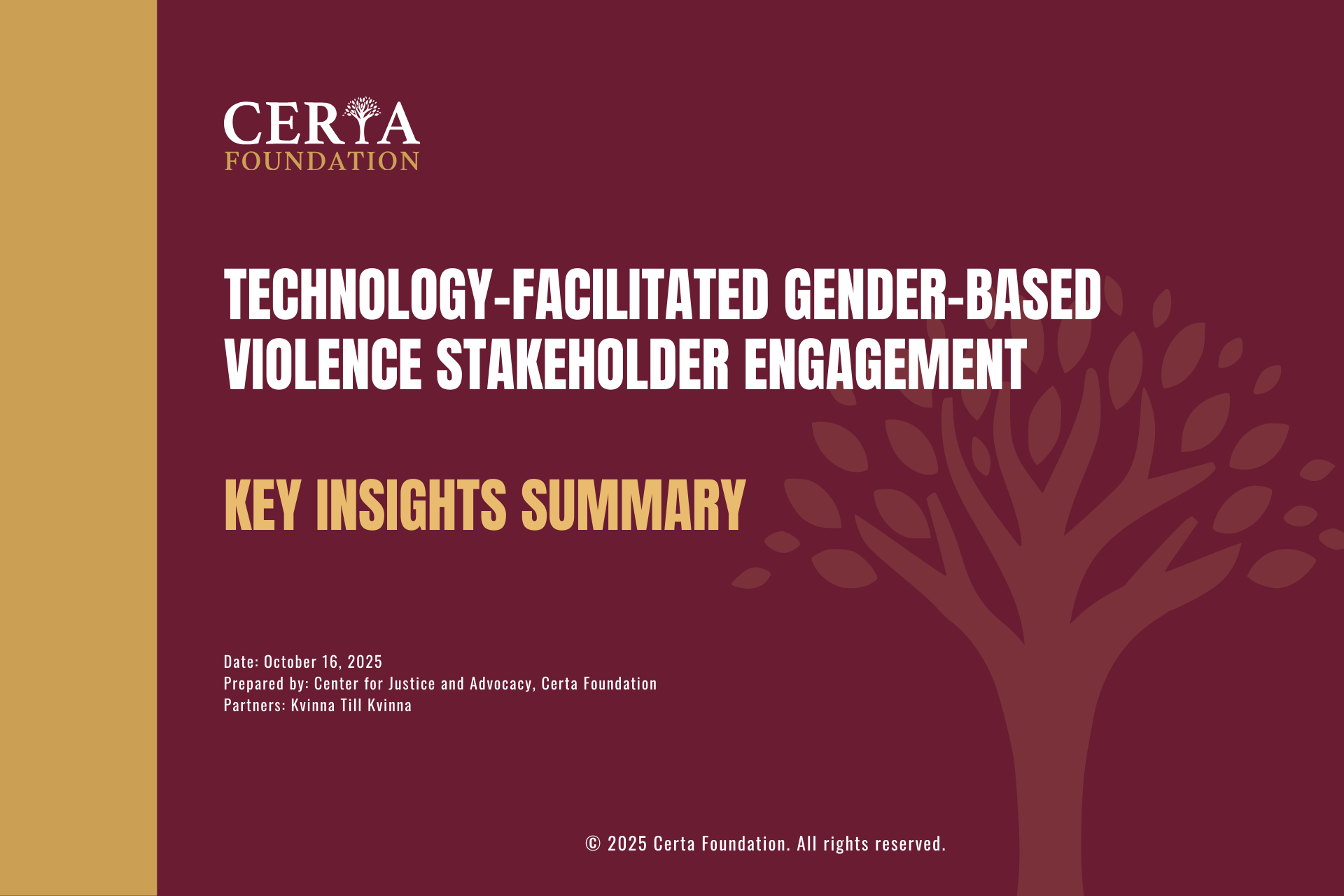 TFGBV Stakeholder Engagement, Key Insights Summary