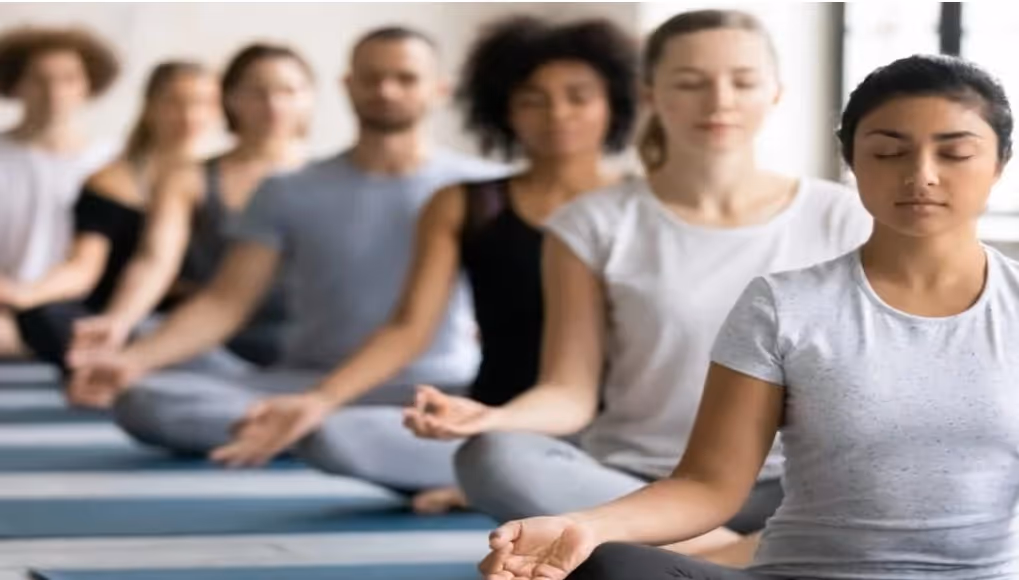 A group of male and female yogis in lotus position, meditating and concentrating.