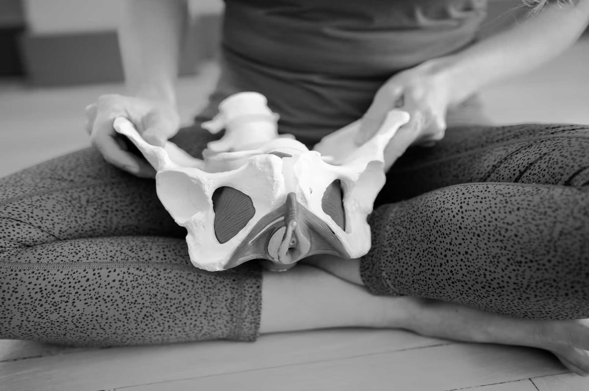 A sculpture of a pelvic bone in someone's hands
