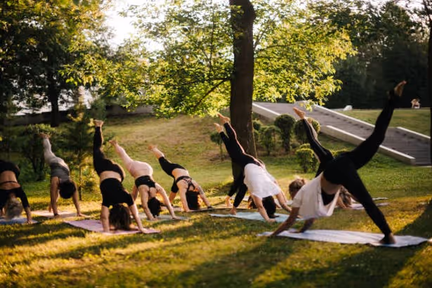 A group of yogis doing yoga asanas in nature