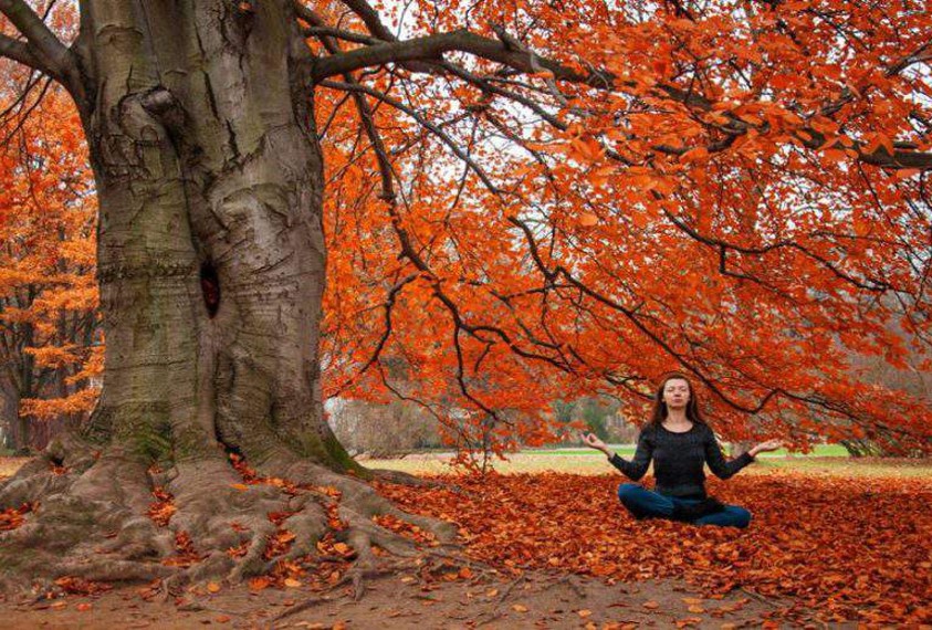 پذیرفتن کندی: چرا در پاییز نباید از خودت انتظار زیاد داشته باشی؟