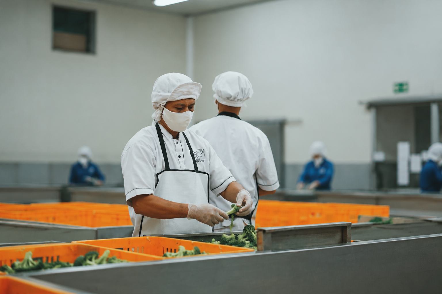 Lebensmittelproduktion