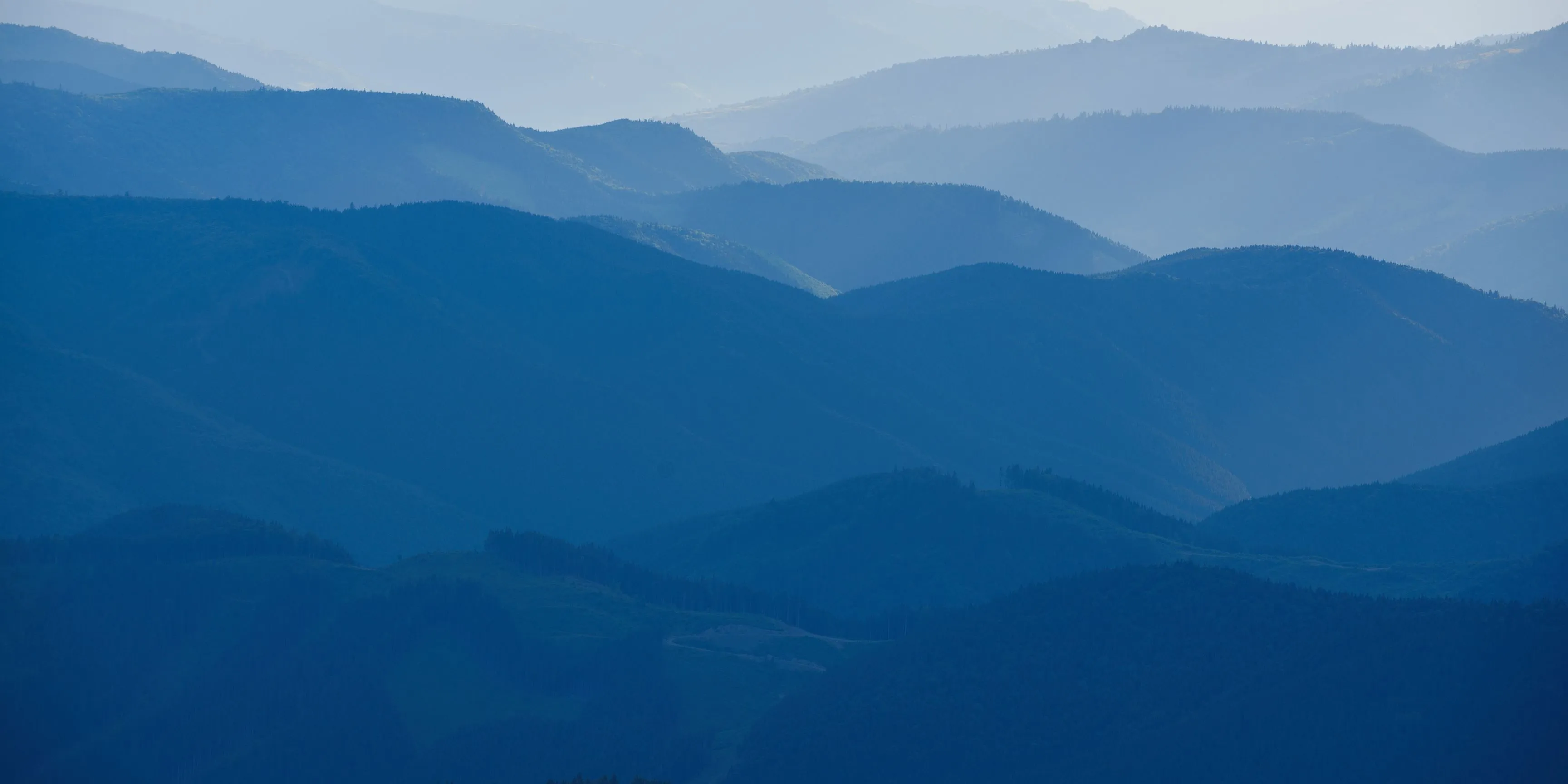 A group of people listening to a speech