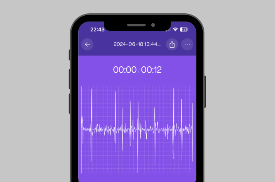 Phone Modal