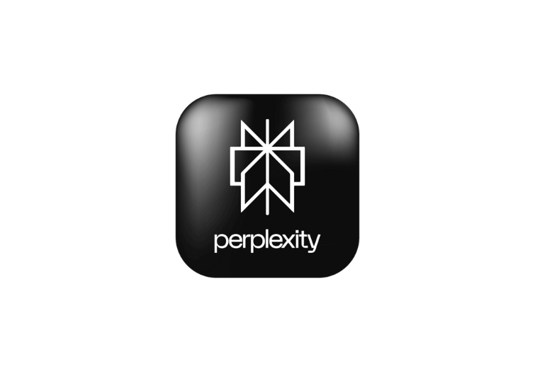 Perplexity