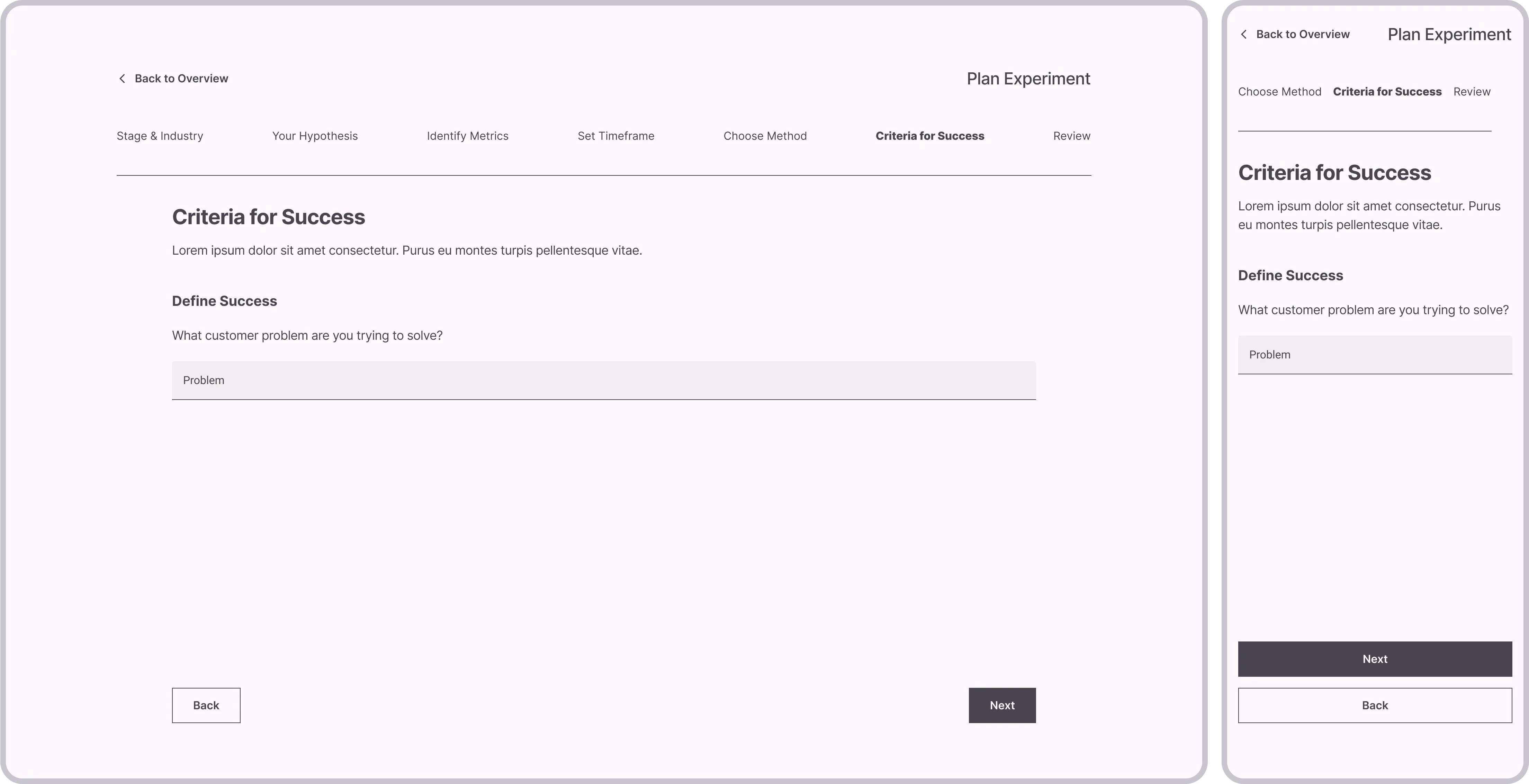 Planning Experiment: Criteria for Success
