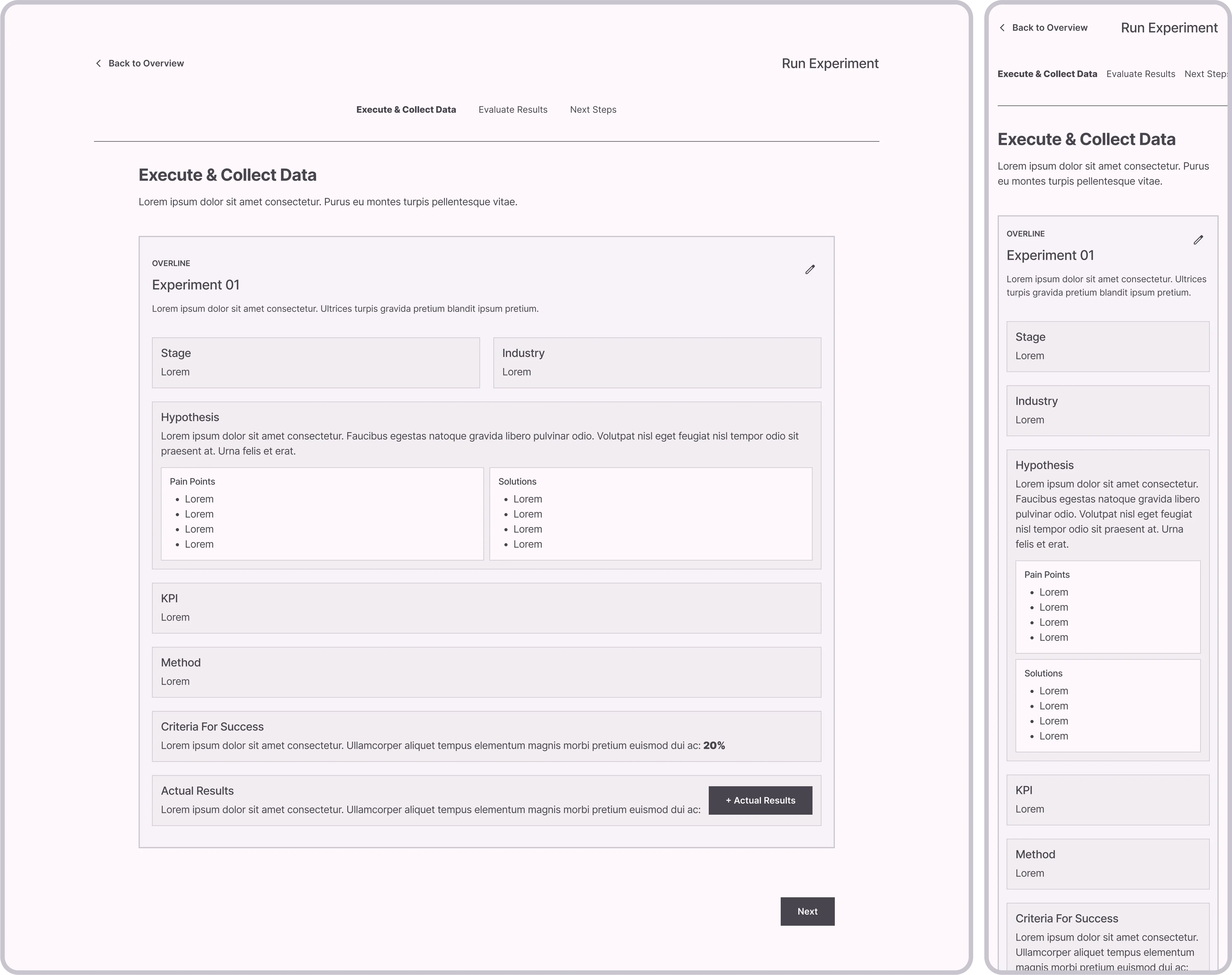 Run Experiment: Execute & Collect Data
