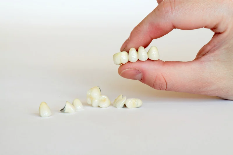 teeth