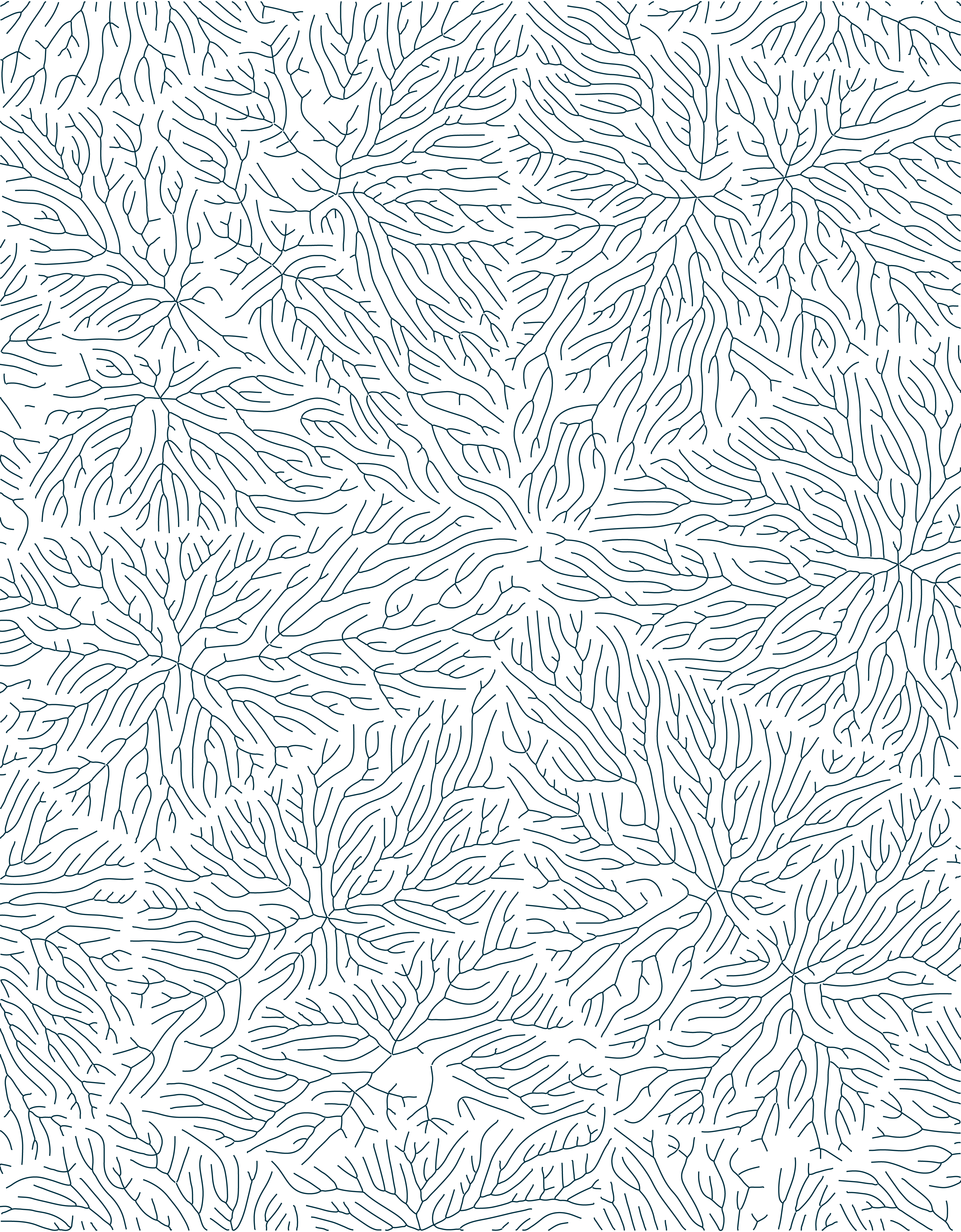 Peachtree Group roots pattern