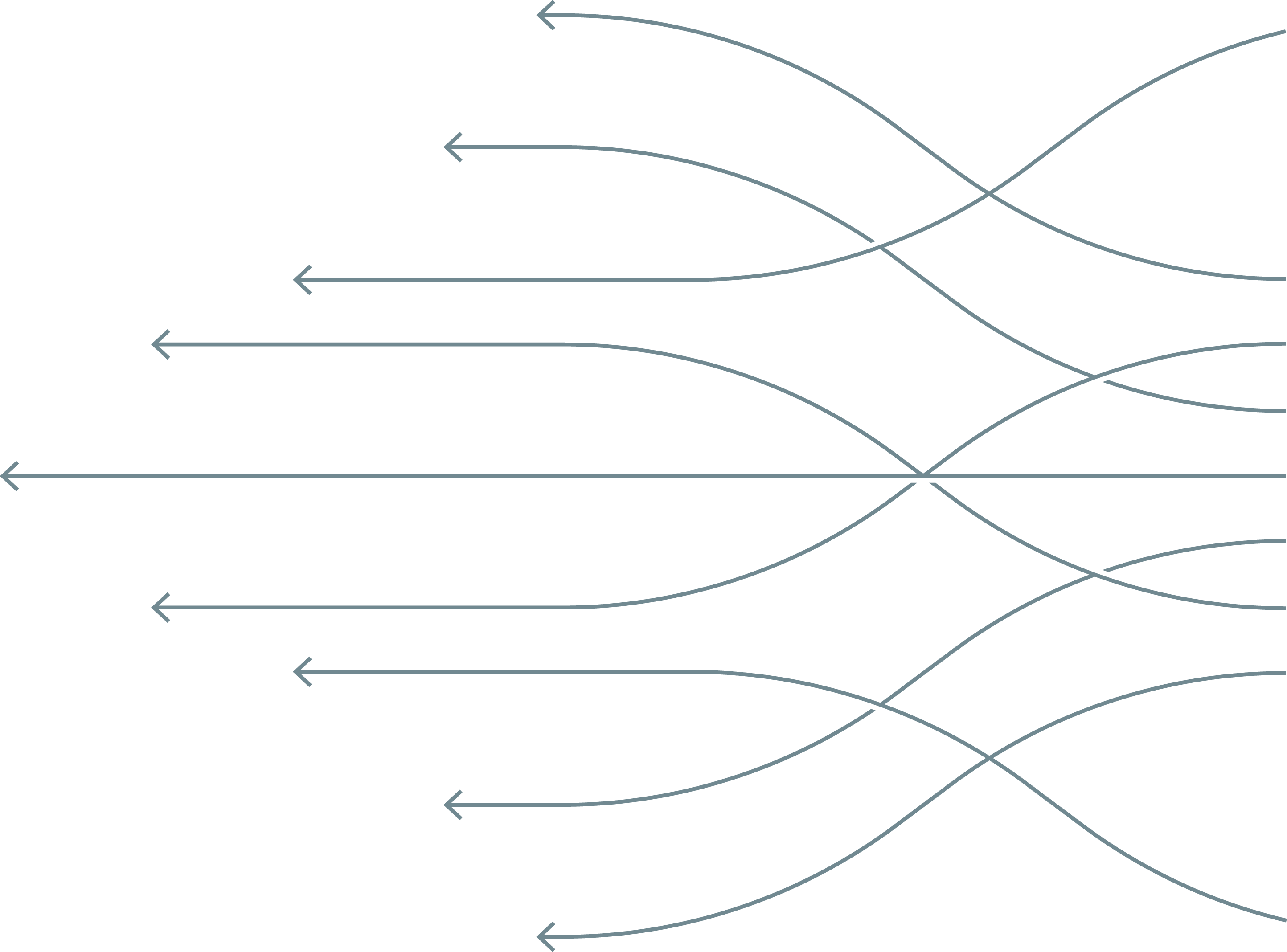 Diagram showing the classification of roots into primary, secondary, and tertiary categories, with arrows indicating their hierarchical relationships.