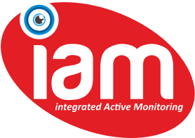 Partners Logo