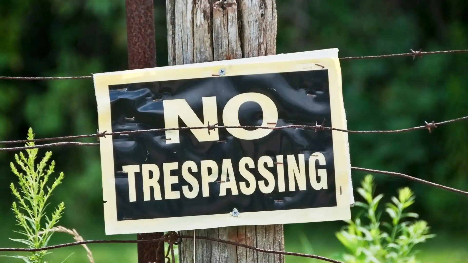 Naruszenie miru domowego