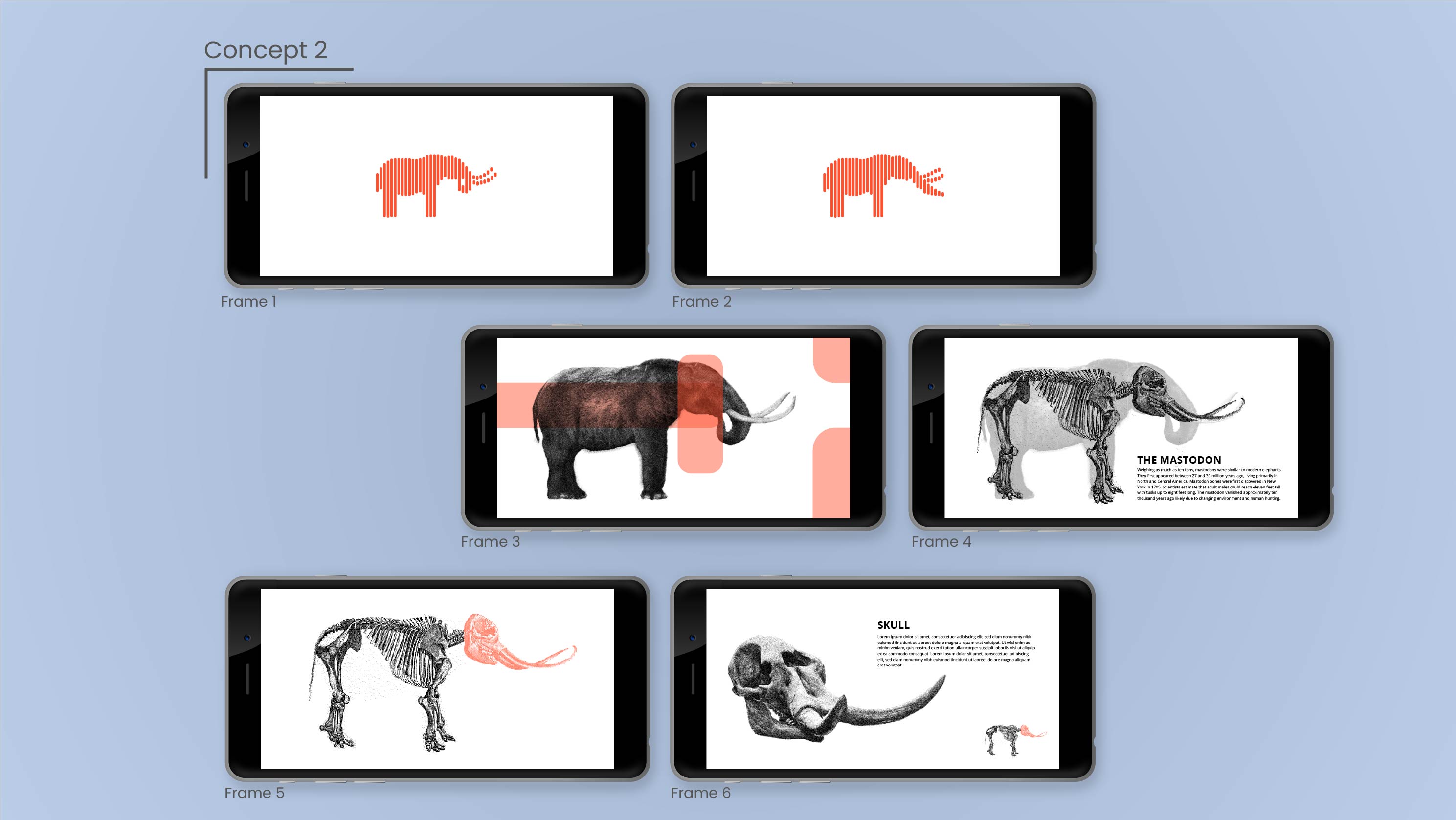 Concept 2: Flat overlay and blueprint-style print illustrations add a layer of depth and timelessness.
