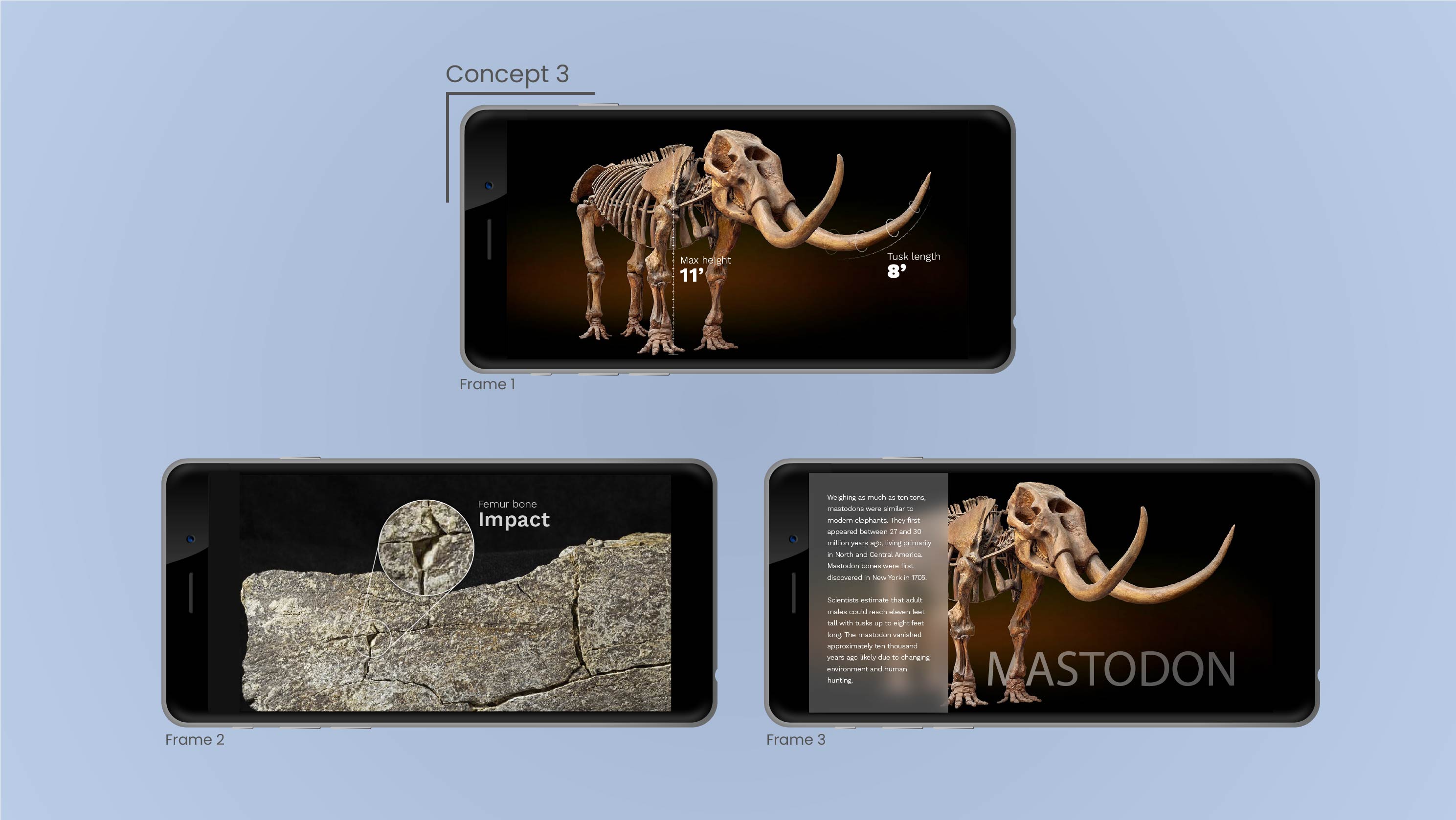 Concept 3: A viewfinder concept where the the user feels as if they are actively analyzing the artifact through technology.