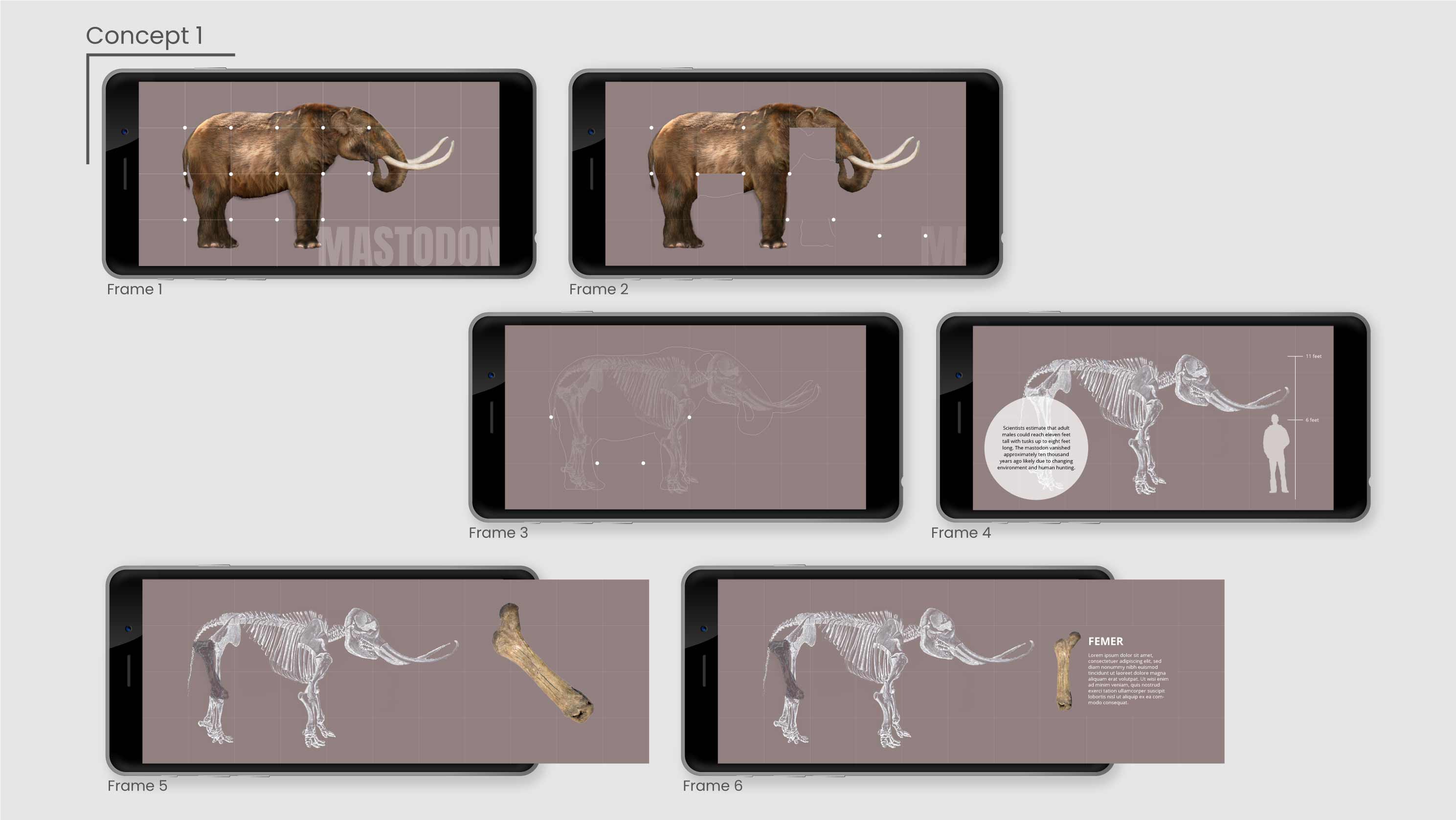 Concept 1: dynamic grid tiles revealing hidden information within the artifact.
