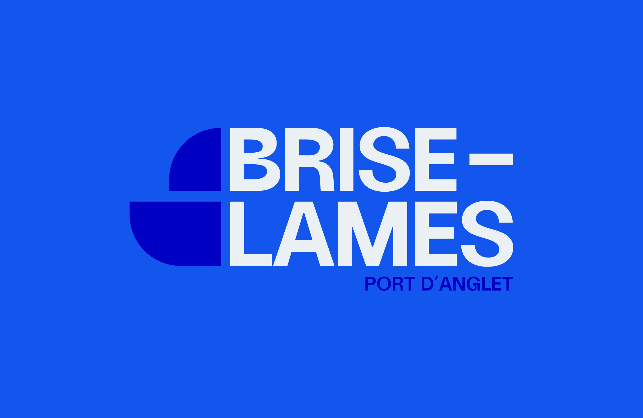 Logo Brise Lame
