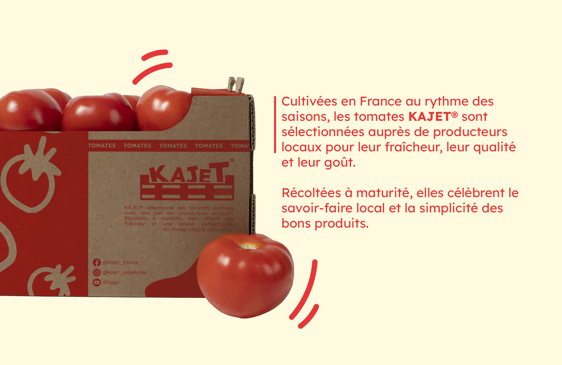 Carton packaging de Kajet