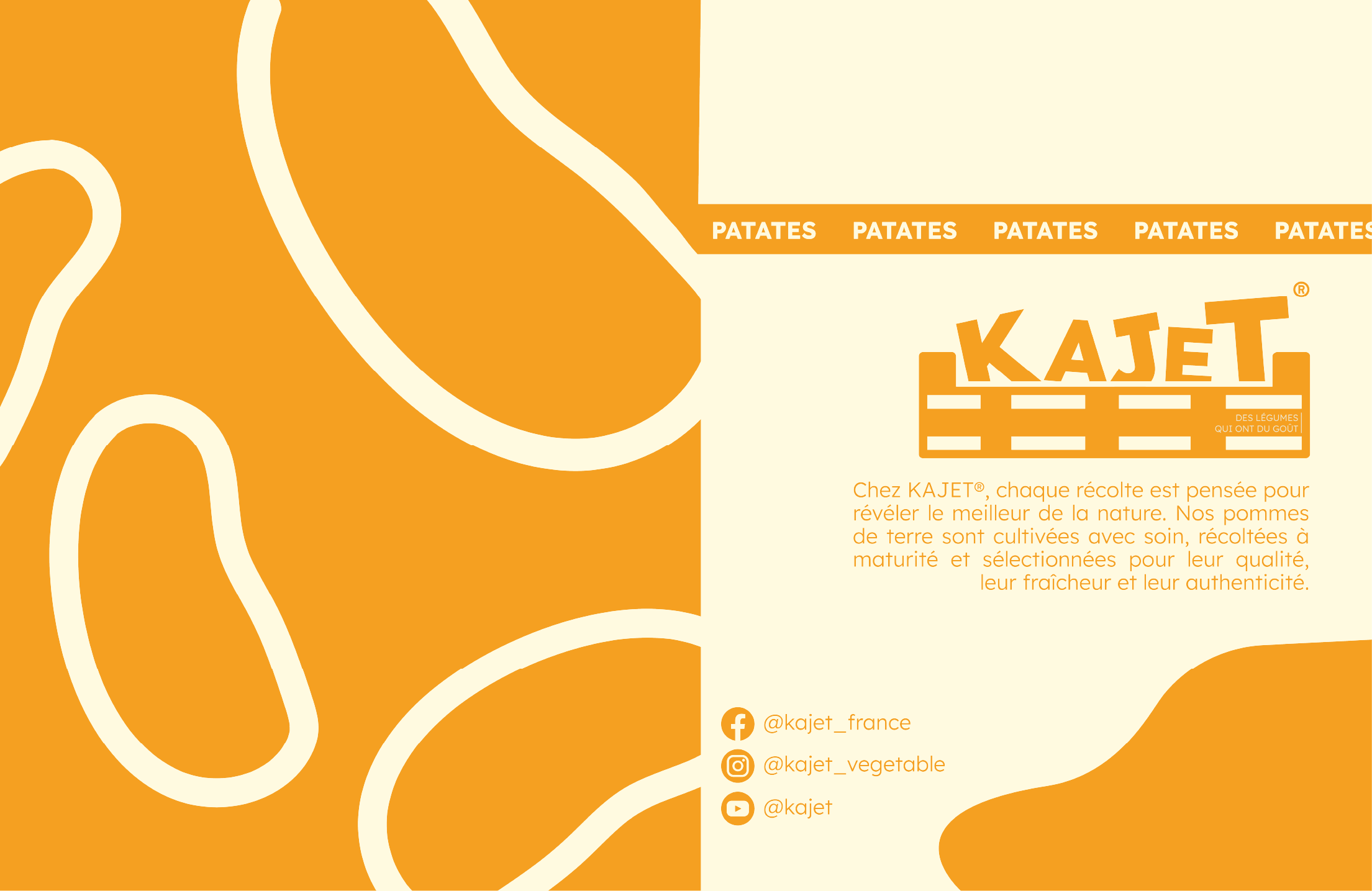 Illustration packaging pour les pommes de terre de Kajet