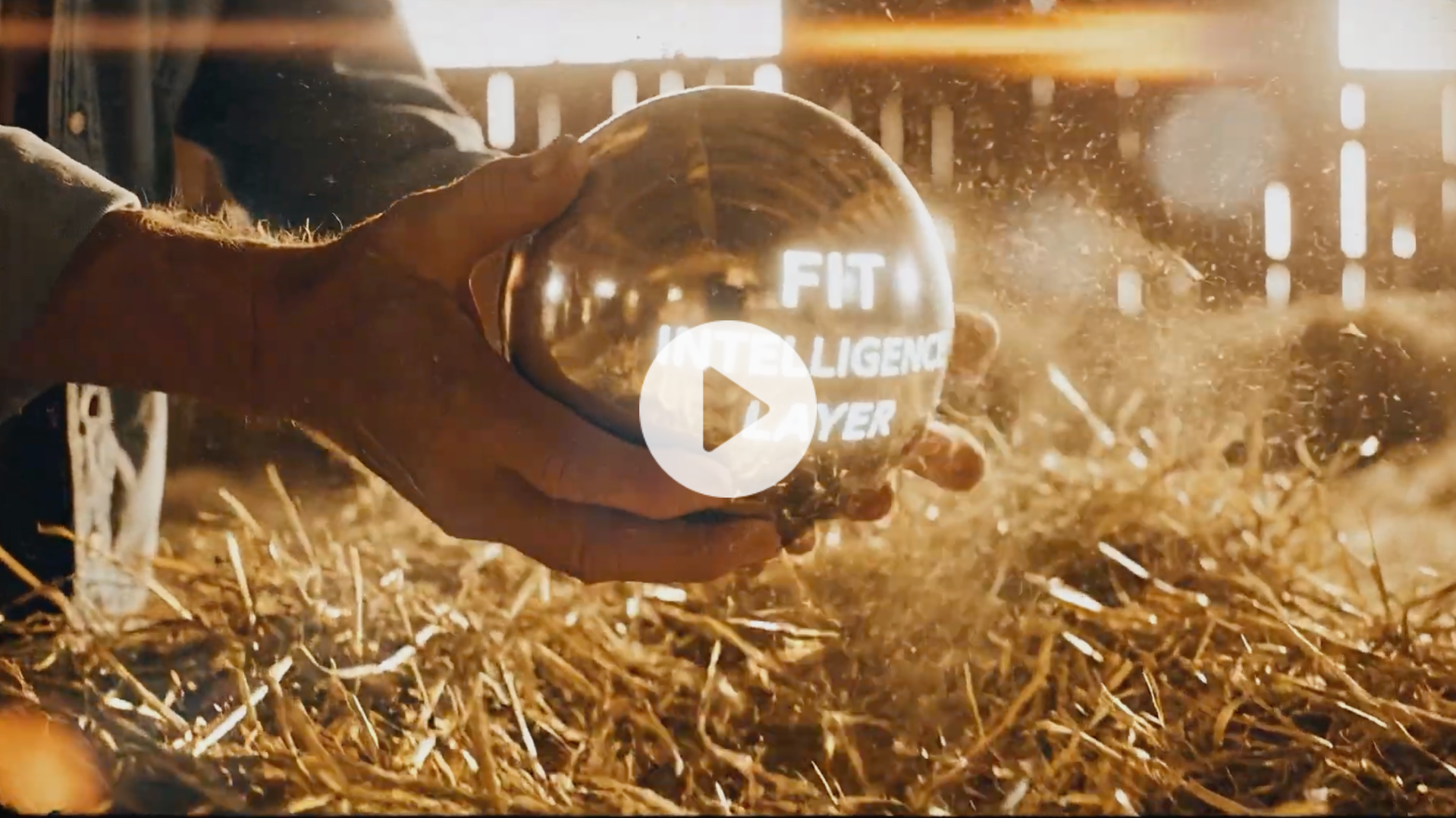 Video highlighting True Fit’s network of 80 million shoppers